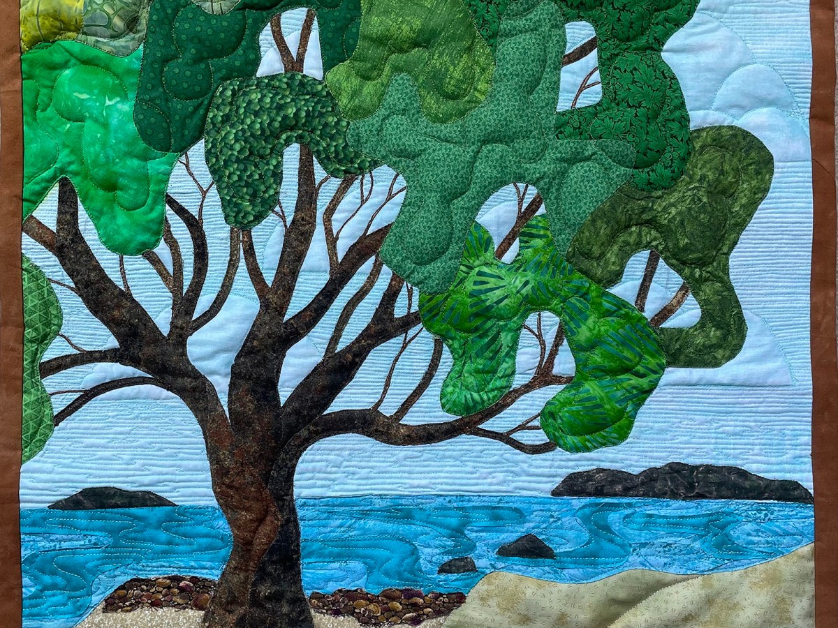 Nature’s Performance Art