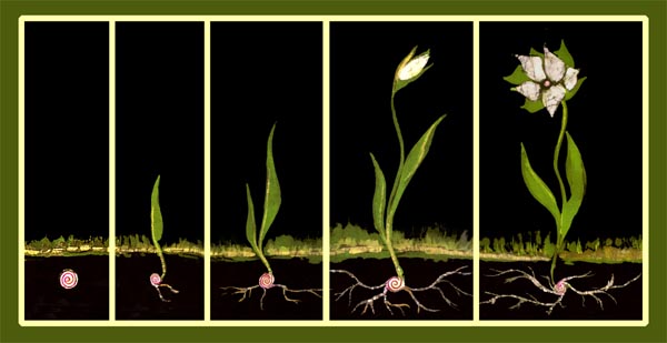 Growing in the New&nbsp;Year